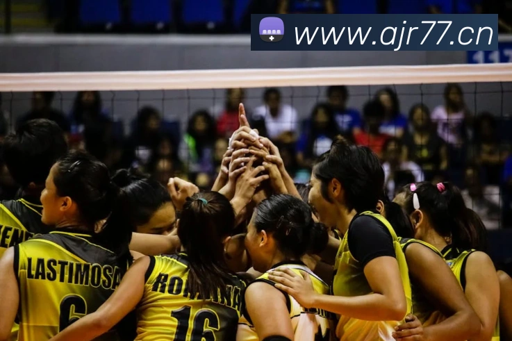 多媒体互动体验